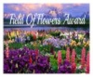 2014-field-of-flowers-award